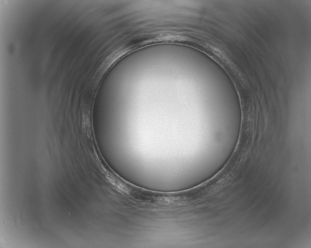 X0000054431281200508192114