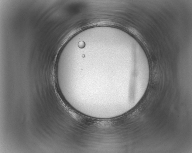 X0000054431282200508192114