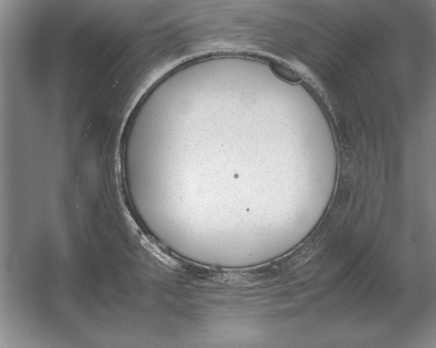 X0000054431287200508192114