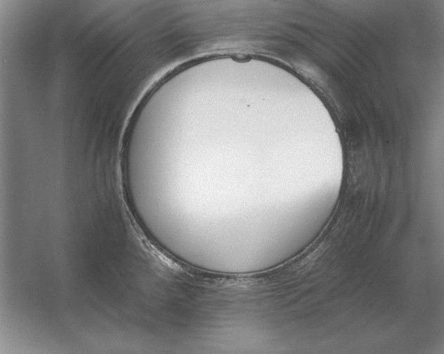 X0000054431288200508192114