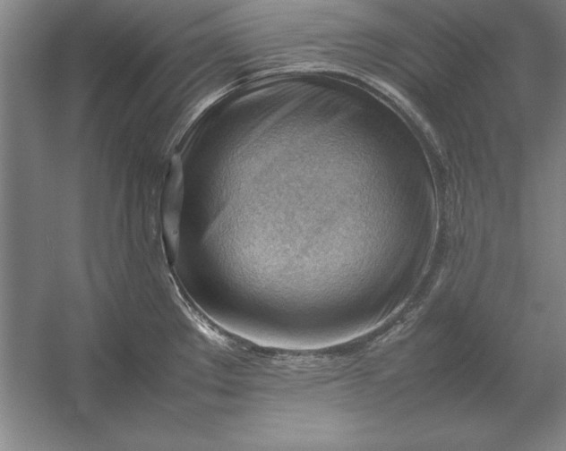 X0000054431289200508192114