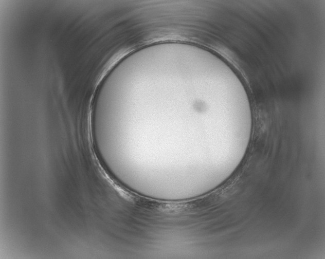 X0000054431290200508192114