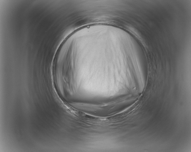 X0000054431291200508192114