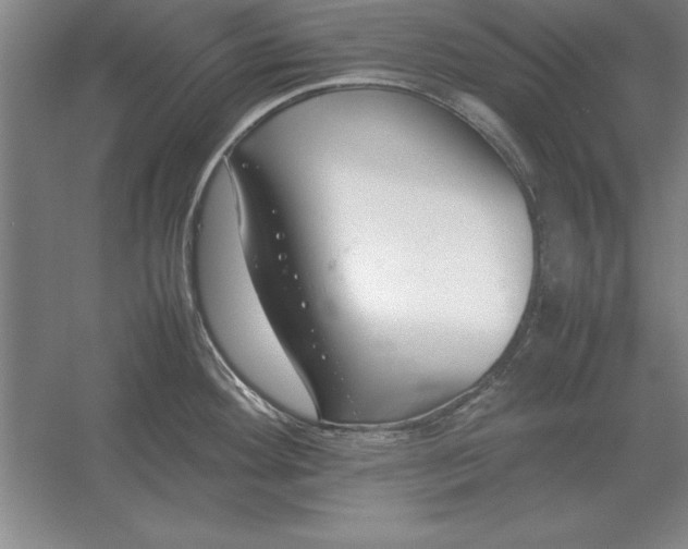 X0000054431292200508192114