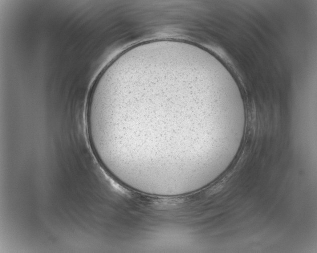 X0000054431294200508192114