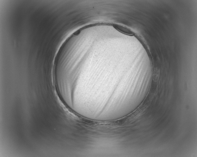 X0000054431295200508192114