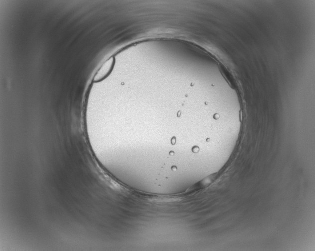 X0000054431296200508192114