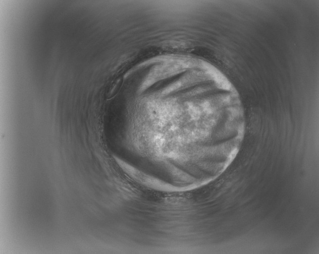 X0000054431297200508192113