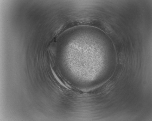 X0000054431298200508192113