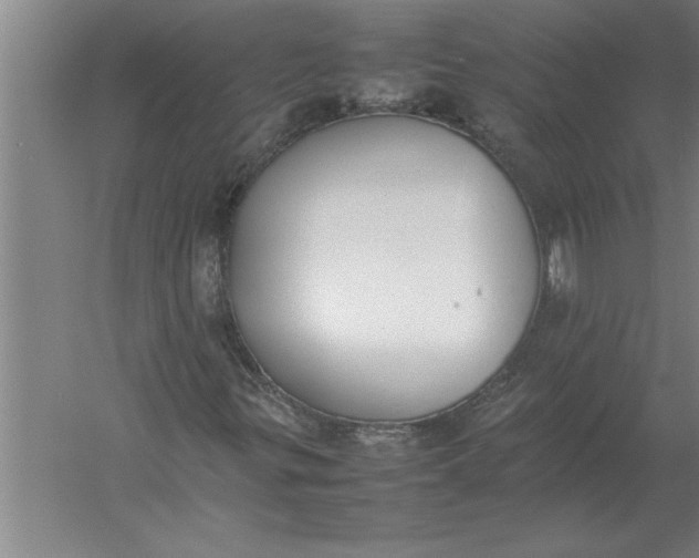 X0000054431299200508192113