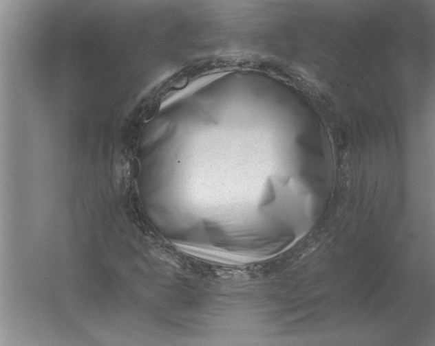 X0000054431302200508192113