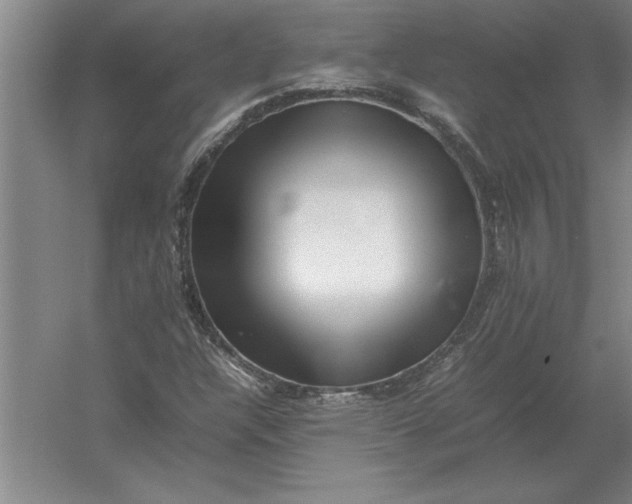 X0000054431304200508192113