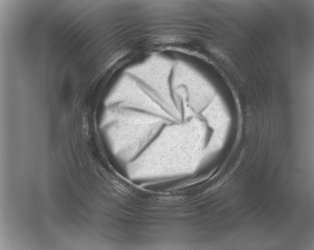 X0000054431305200508192113