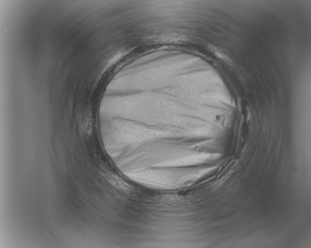 X0000054431306200508192113