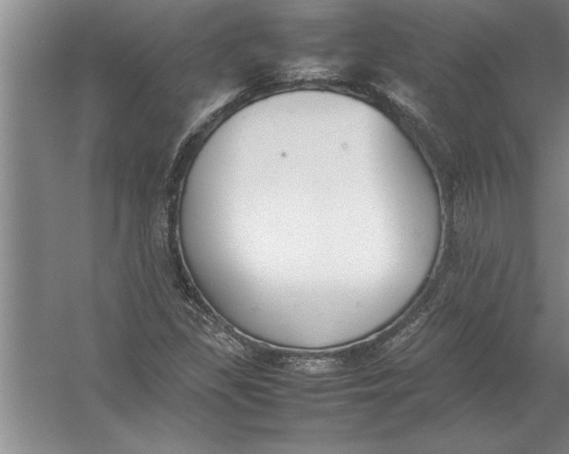 X0000054431309200508192113