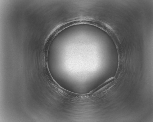 X0000054431310200508192113