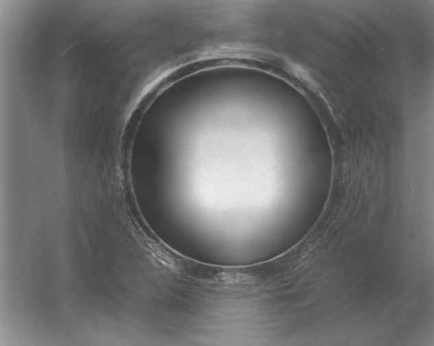 X0000054431312200508192113