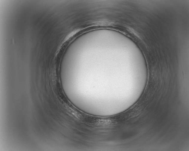 X0000054431315200508192113