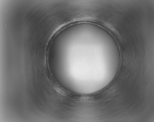 X0000054431316200508192113