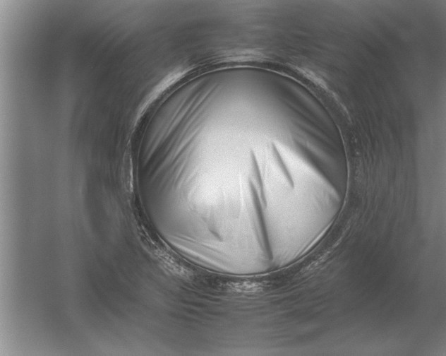 X0000054431317200508192113