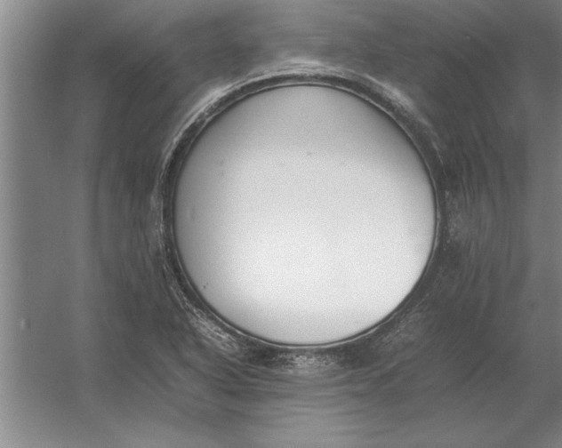 X0000054431318200508192113