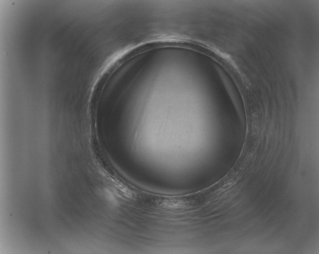 X0000054431319200508192113