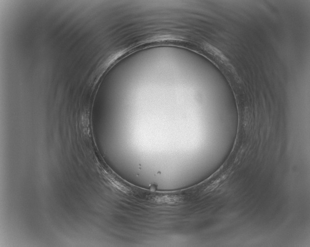 X0000054431321200508192113