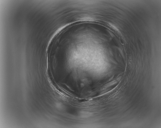 X0000054431323200508192113