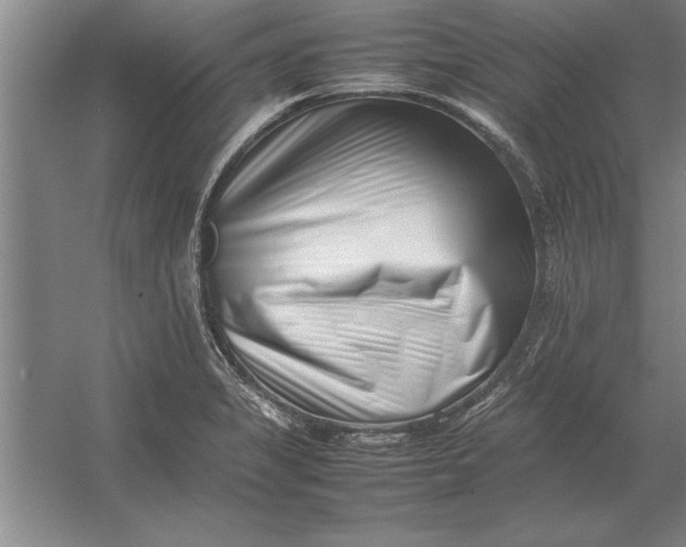 X0000054431325200508192113