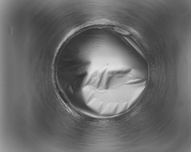 X0000054431326200508192113