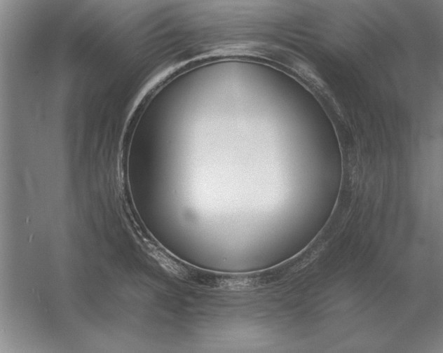 X0000054431328200508192113