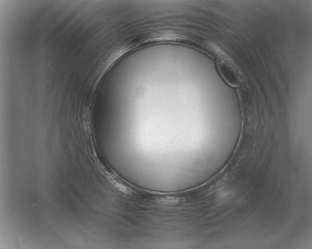 X0000054431329200508192113