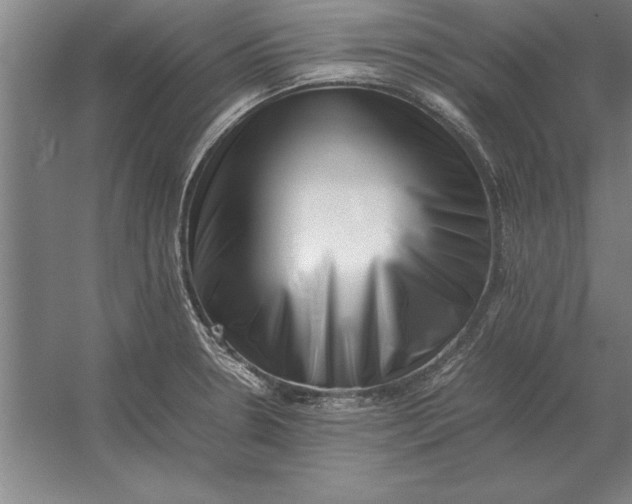 X0000054431330200508192113