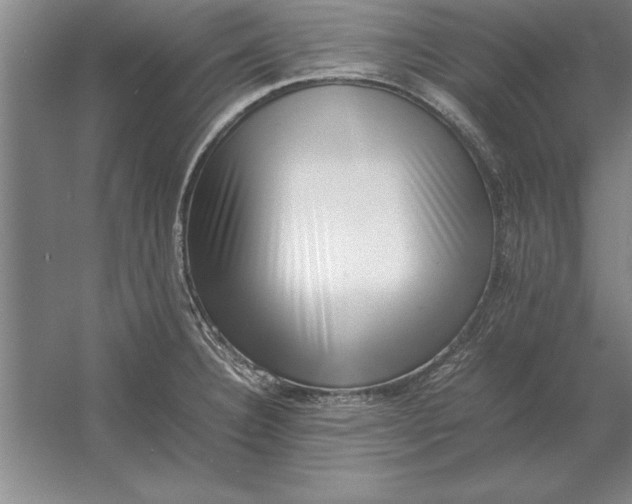 X0000054431332200508192113