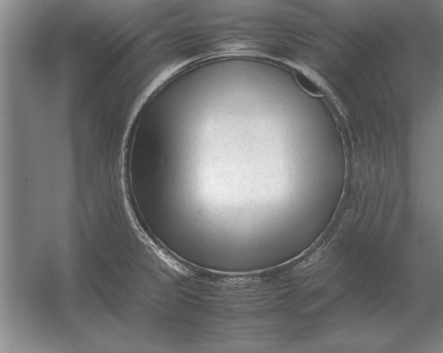 X0000054431333200508192113