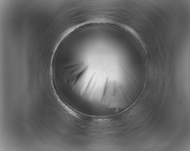 X0000054431335200508192113