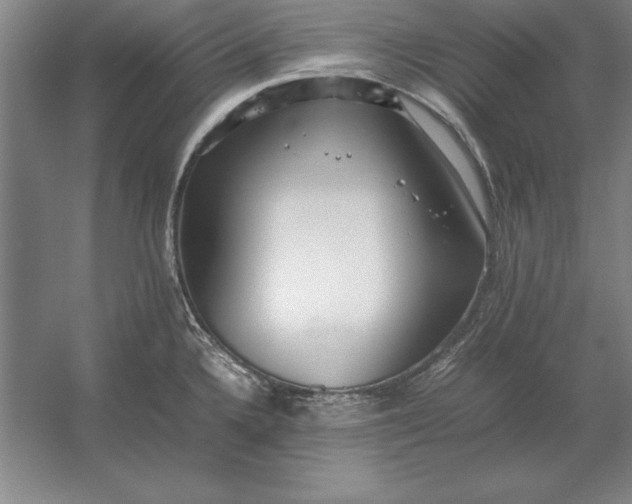 X0000054431336200508192113