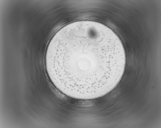 X0000054431338200508192113