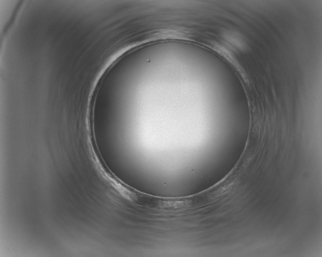 X0000054431339200508192114