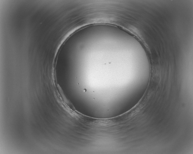 X0000054431340200508192114