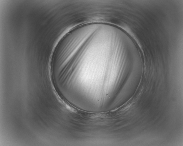 X0000054431341200508192114