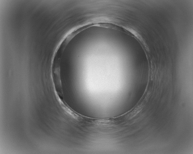 X0000054431342200508192114