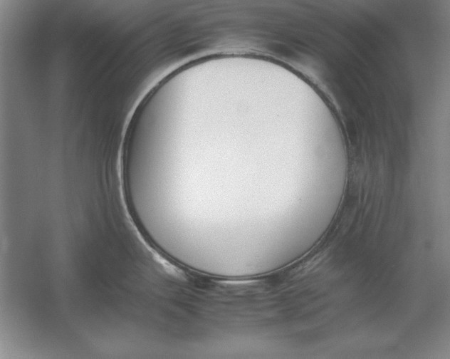 X0000054431343200508192114