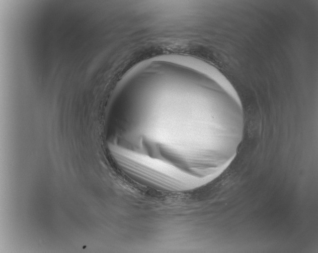 X0000054431345200508192113