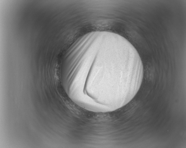 X0000054431346200508192113