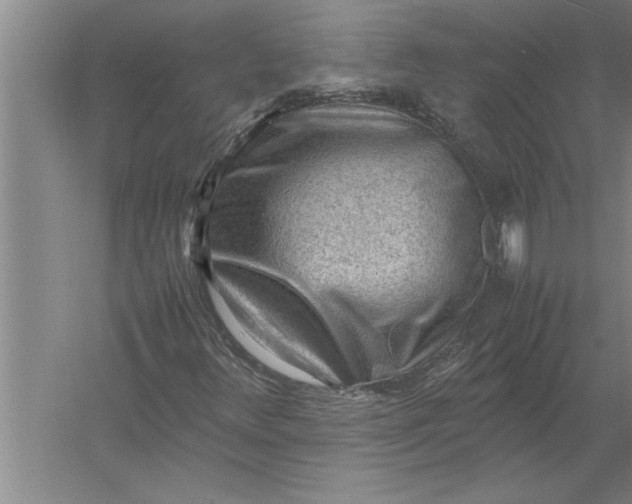 X0000054431348200508192113