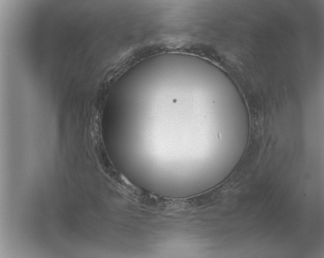 X0000054431349200508192113