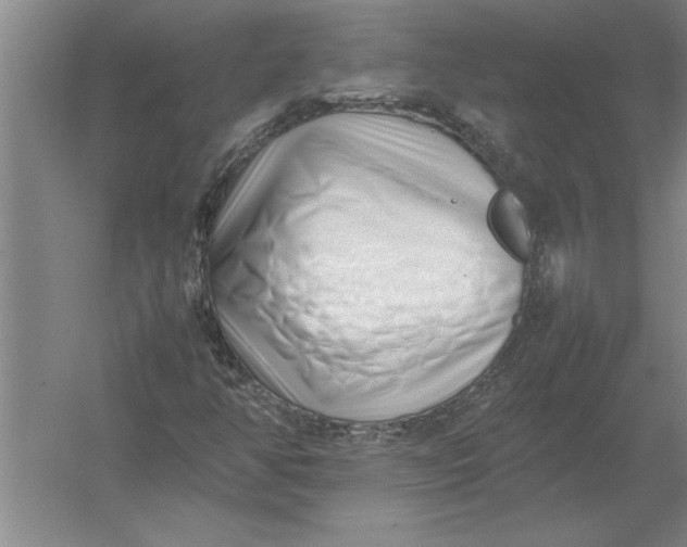 X0000054431350200508192113