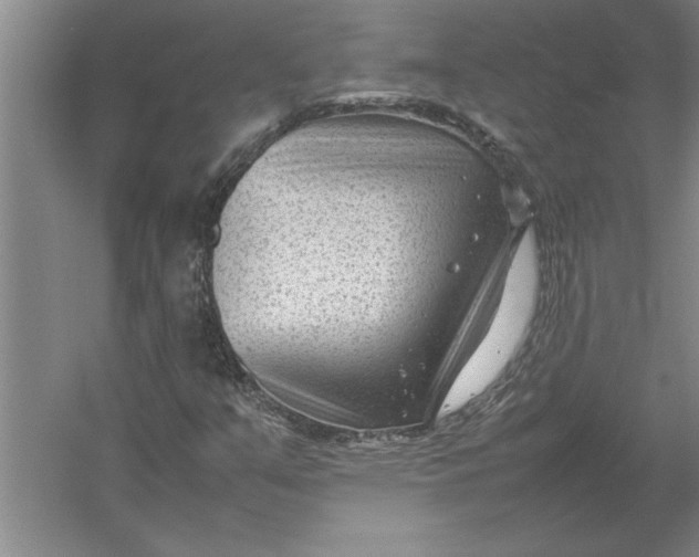 X0000054431351200508192113