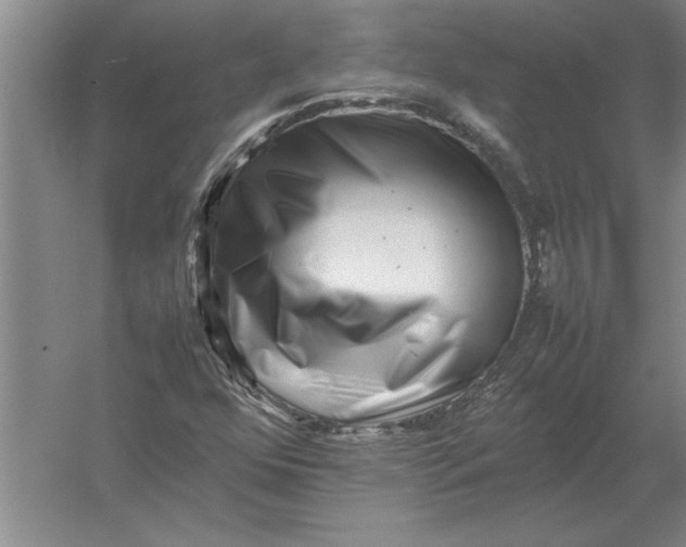 X0000054431352200508192113